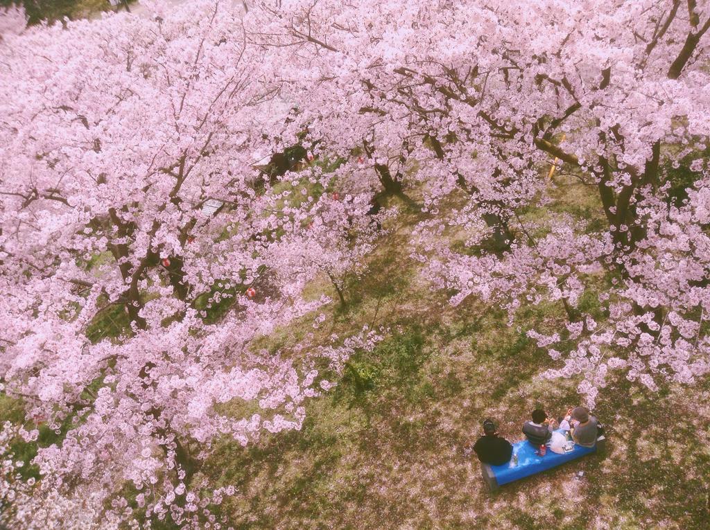 ホテルSalt House Shimanami Gh Imabari Railway Station エクステリア 写真